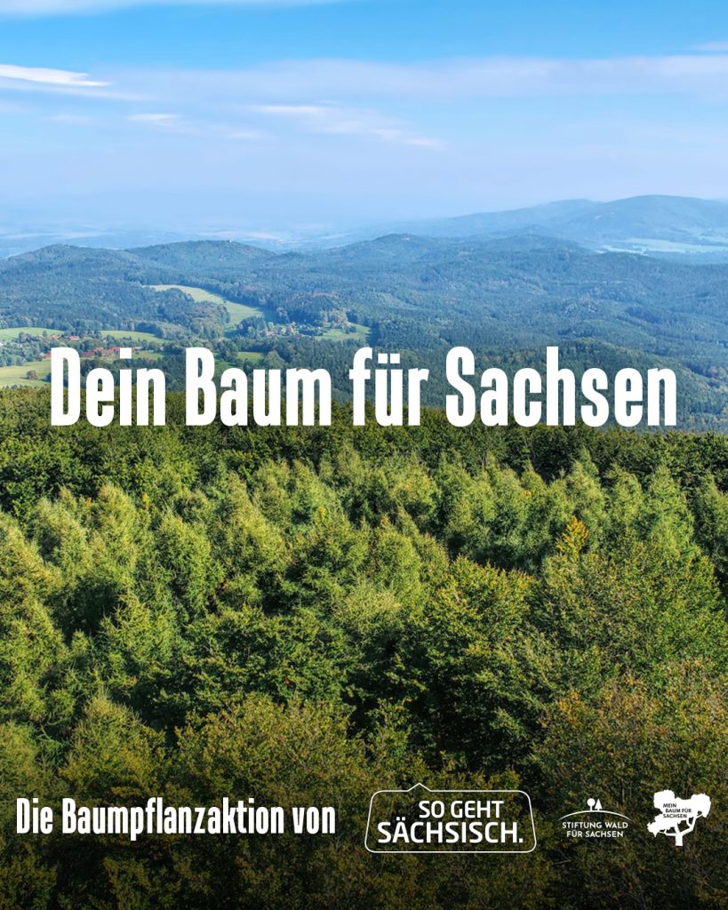 Dein Baum für Sachsen🌳