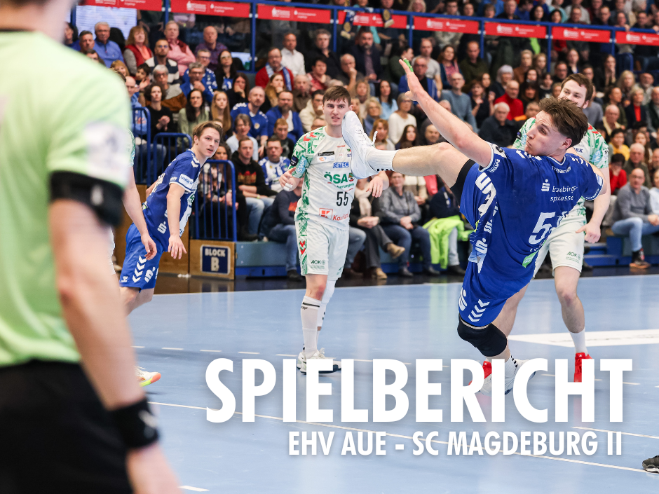 EHV Aue gelingt auch Heimspielauftakt im neuen Jahr