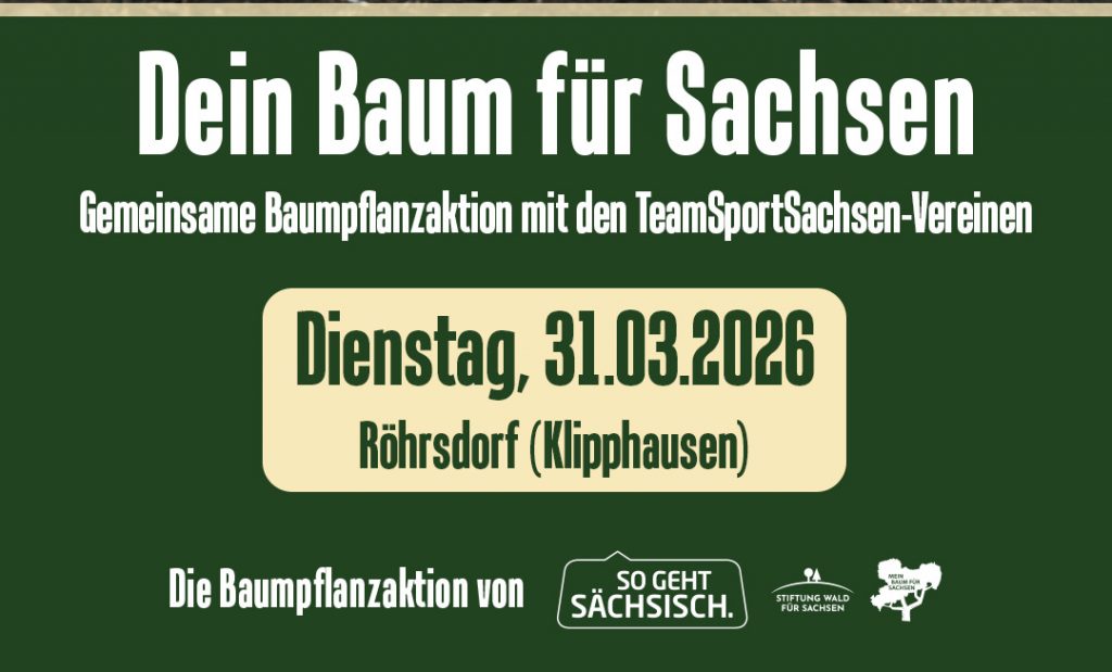 Gemeinsam anpacken für mehr Wald in Sachsen 