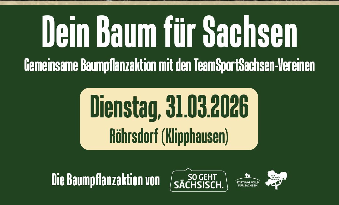 SGS_Stiftung_Wald_4zu5_Ankndigung (2)-1